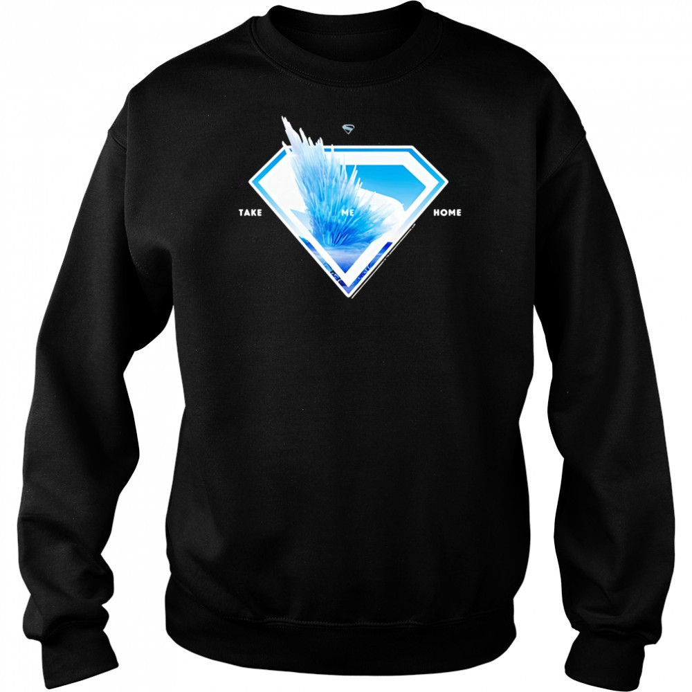 Superman logo svalbard take me home 2025 shirt Hoodie