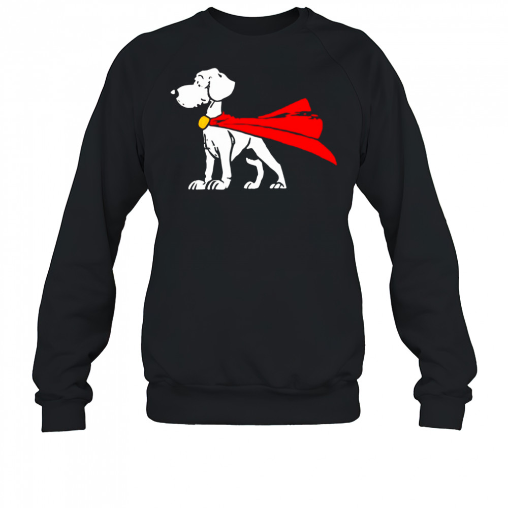 Cool Krypto the dog shirt Sweatshirt