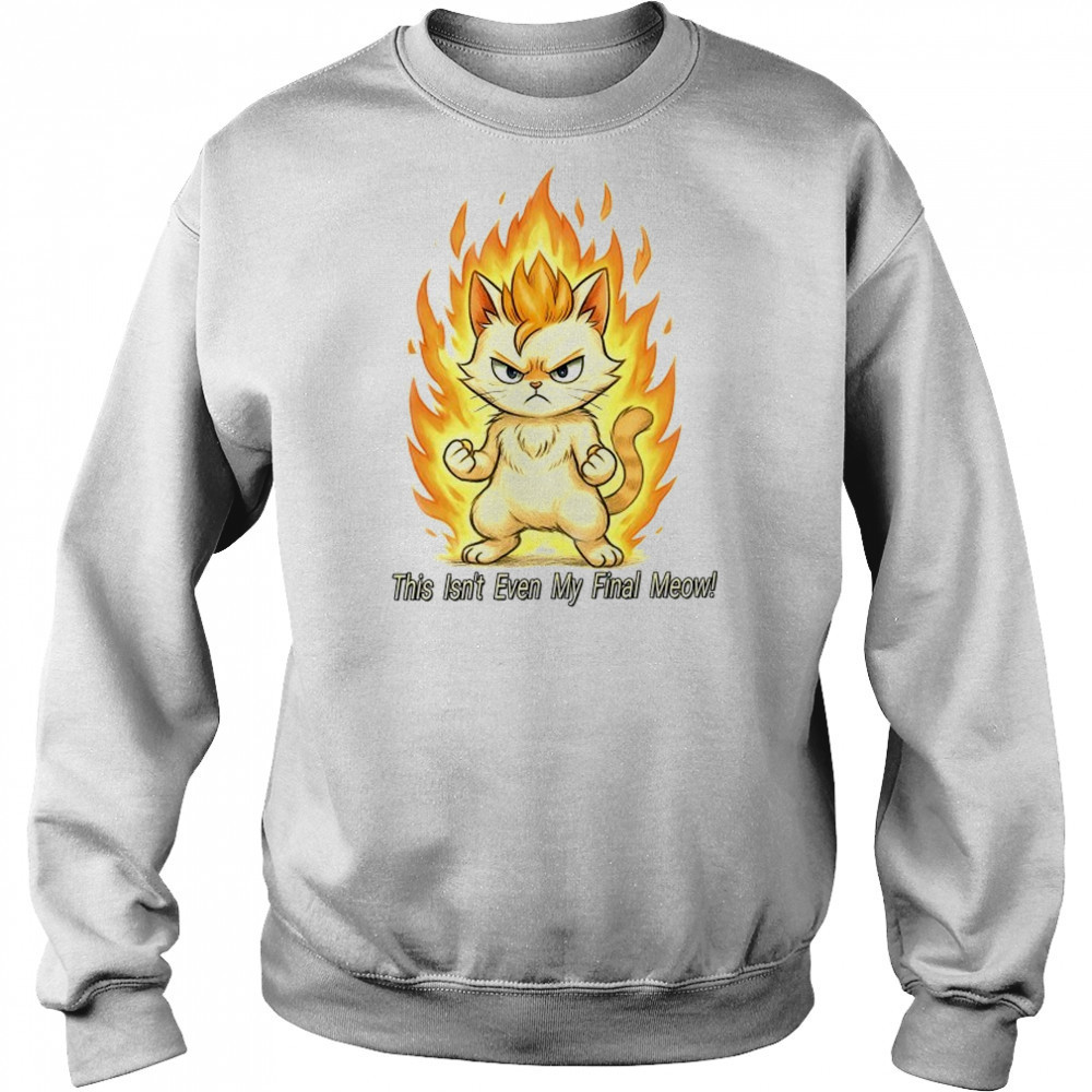 Super Saiyan cat this isn’t even my final meow shirt Hoodie