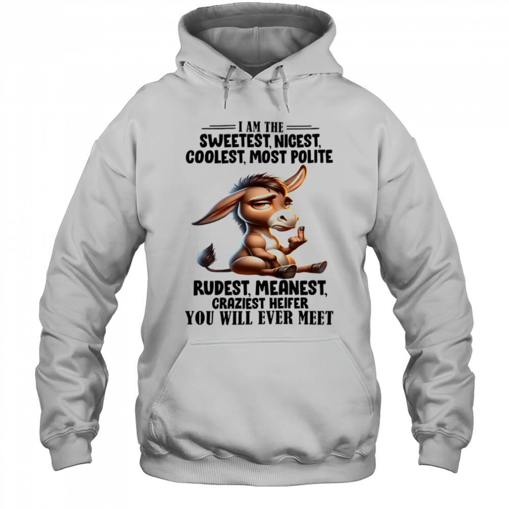 Donkey I am the sweetest nicest coolest most polite rudest shirt Hoodie