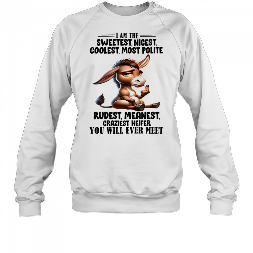 Donkey I am the sweetest nicest coolest most polite rudest shirt Sweatshirt