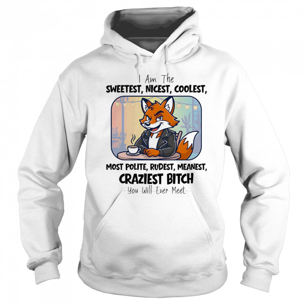 I am the sweetest nicest coolest most polite rudest meanest craziest bitch you will ever meet shirt Sweatshirt
