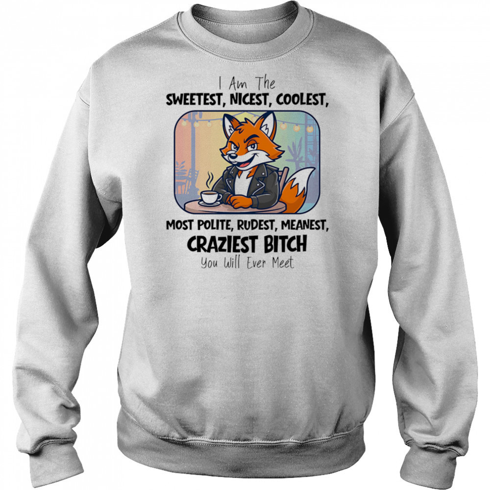 I am the sweetest nicest coolest most polite rudest meanest craziest bitch you will ever meet shirt Hoodie