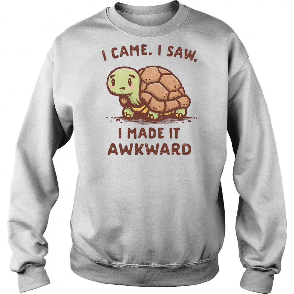 Turtle I Came I Saw I Made It Awkward T-Shirt Hoodie
