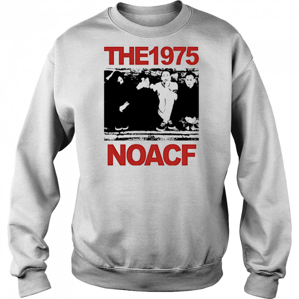 The1975 Noacf Photo Glastonbury 2025 shirt Hoodie