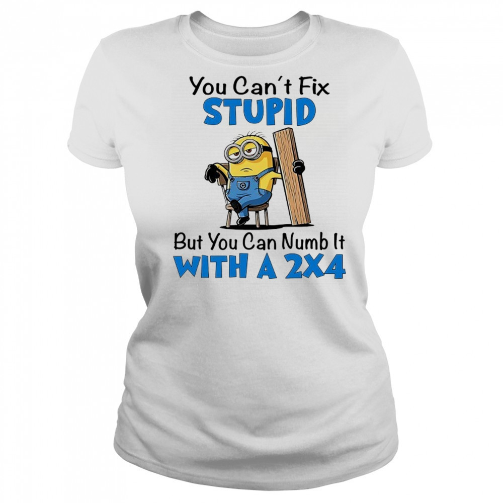 Minion you can’t fix stupid but you can numb it with a 2×4 shirt Women's T-shirt