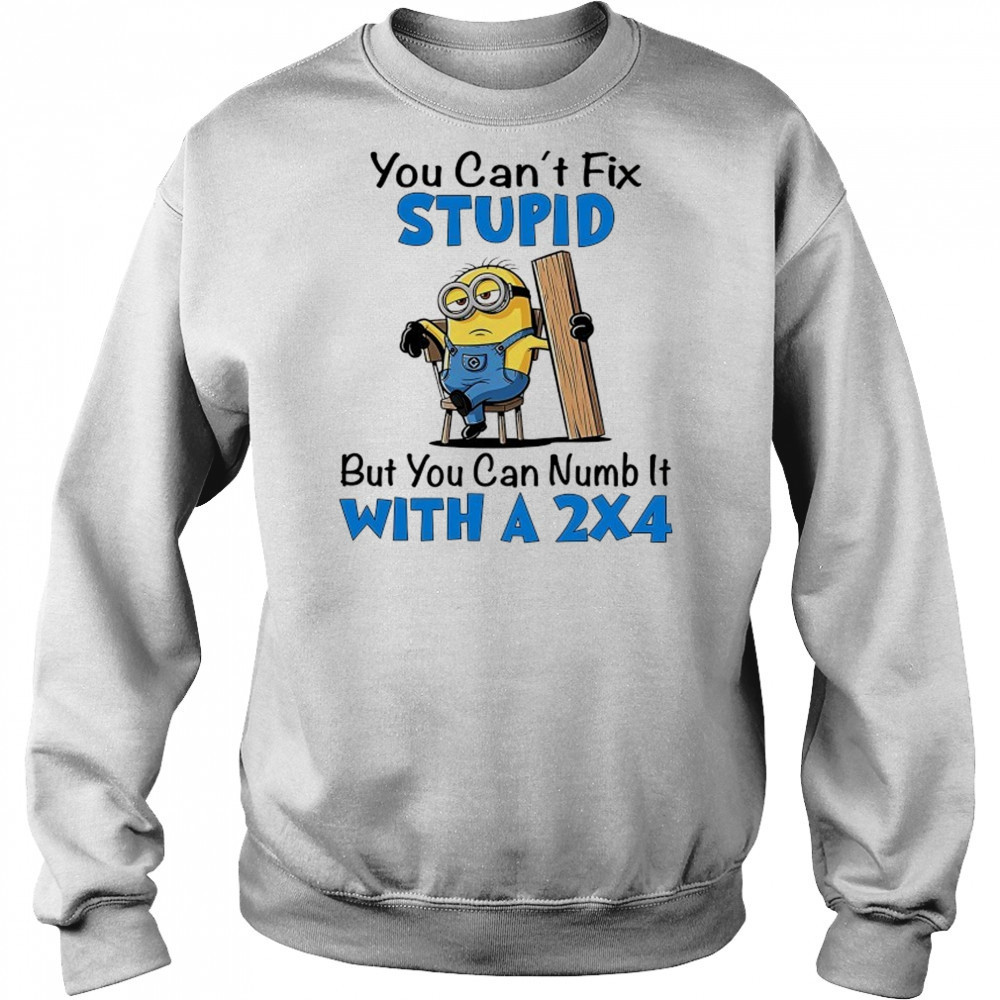Minion you can’t fix stupid but you can numb it with a 2×4 shirt Hoodie