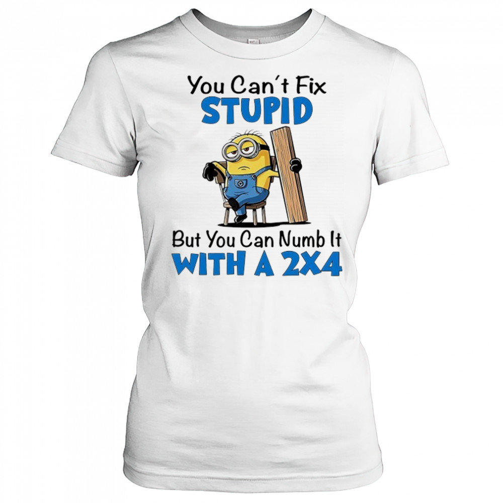 Minion you can’t fix stupid but you can numb it with a 2×4 shirt Women's T-shirt