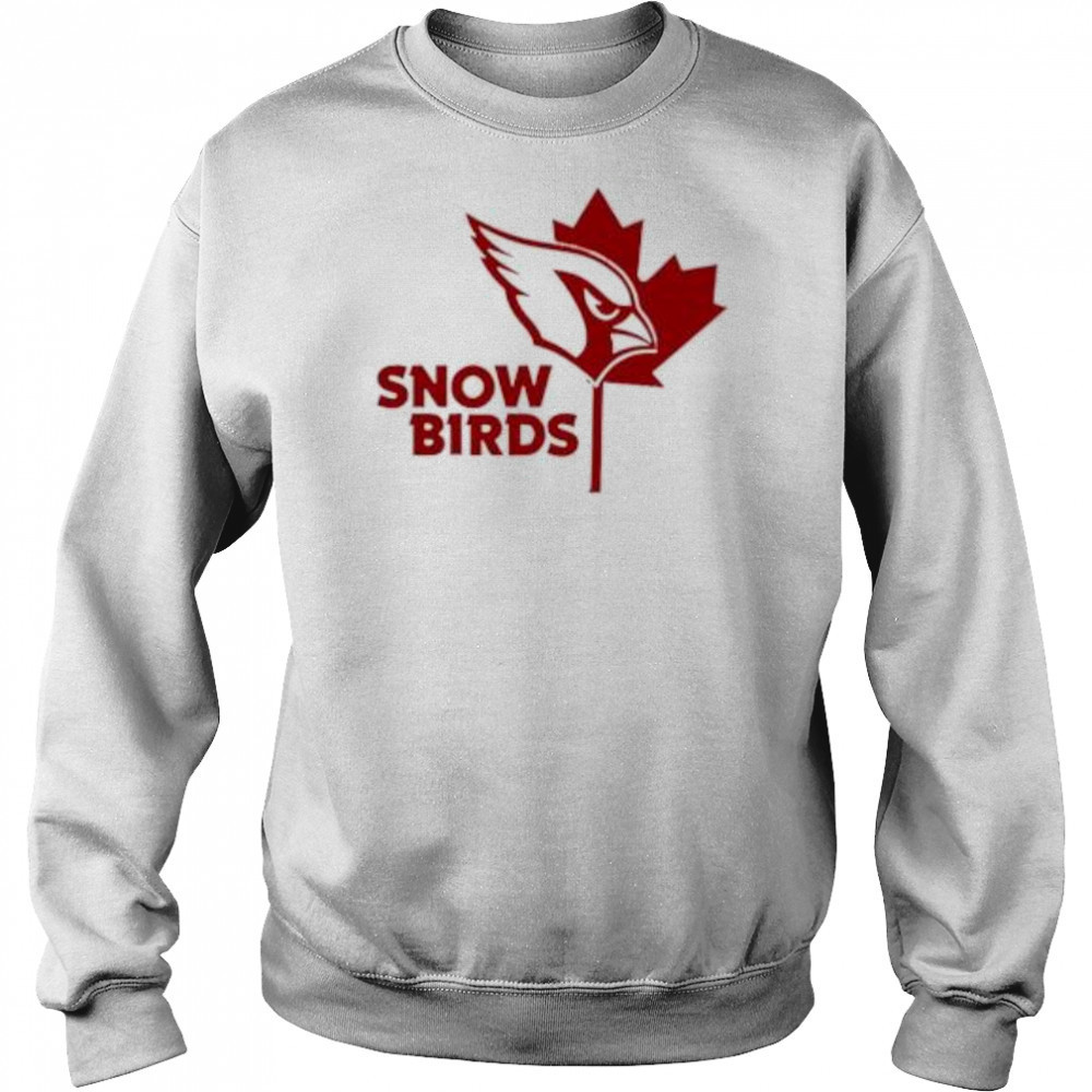 Snow birds Arizona cardinals shirt Hoodie