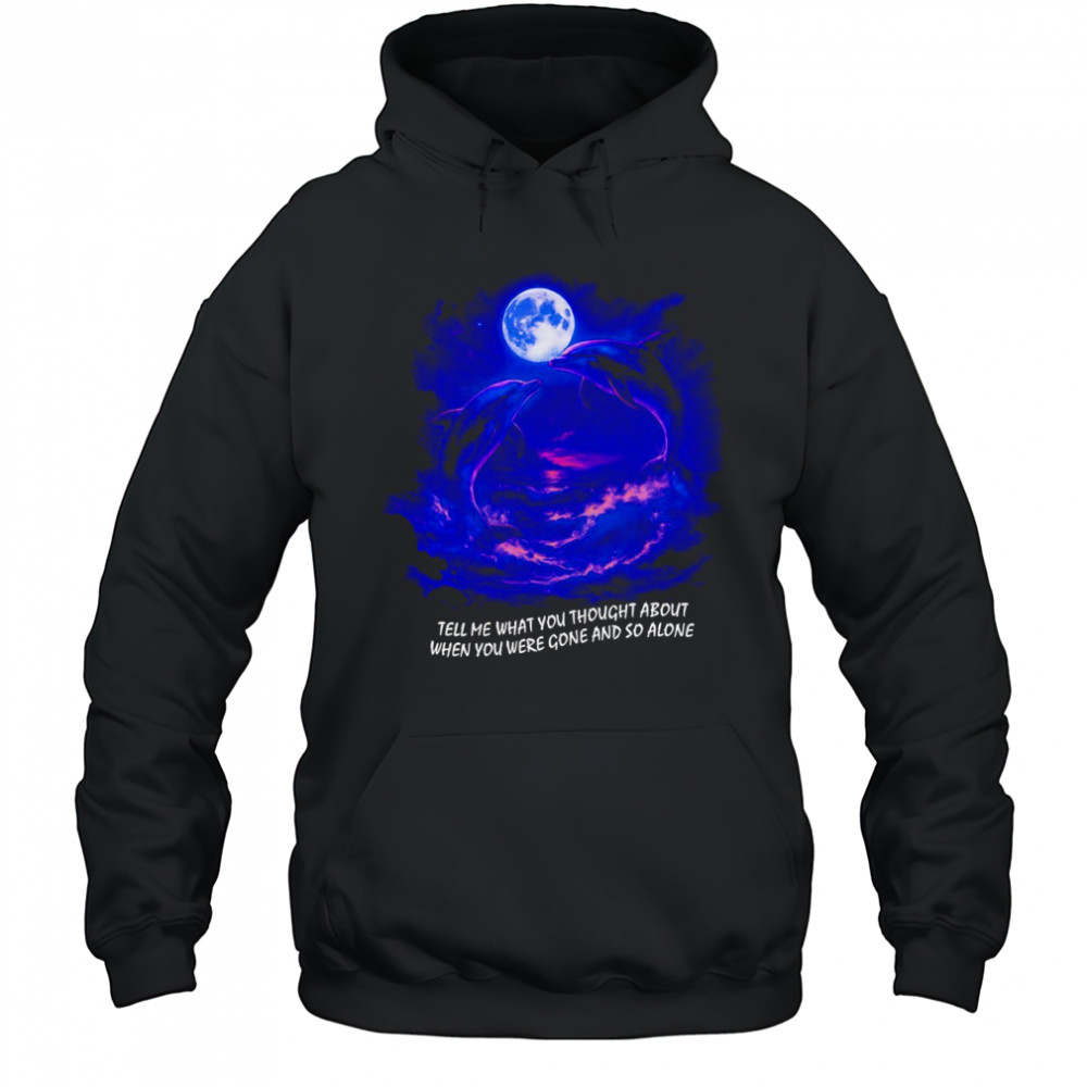 Tell me what you thought about when you were gone and so alone fantasy dolphins shirt Hoodie