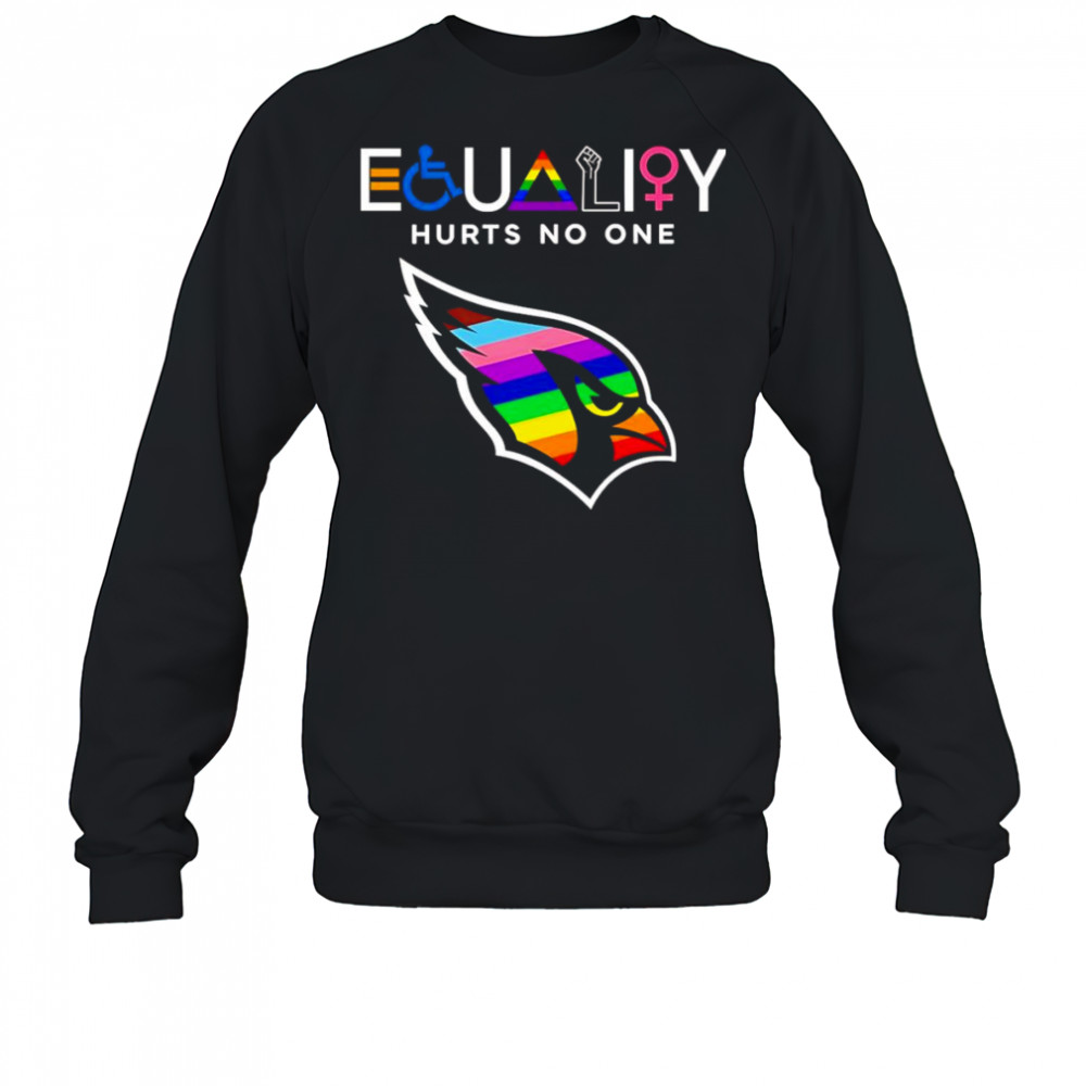 Equality hurts no one Arizona Cardinals shirt Sweatshirt
