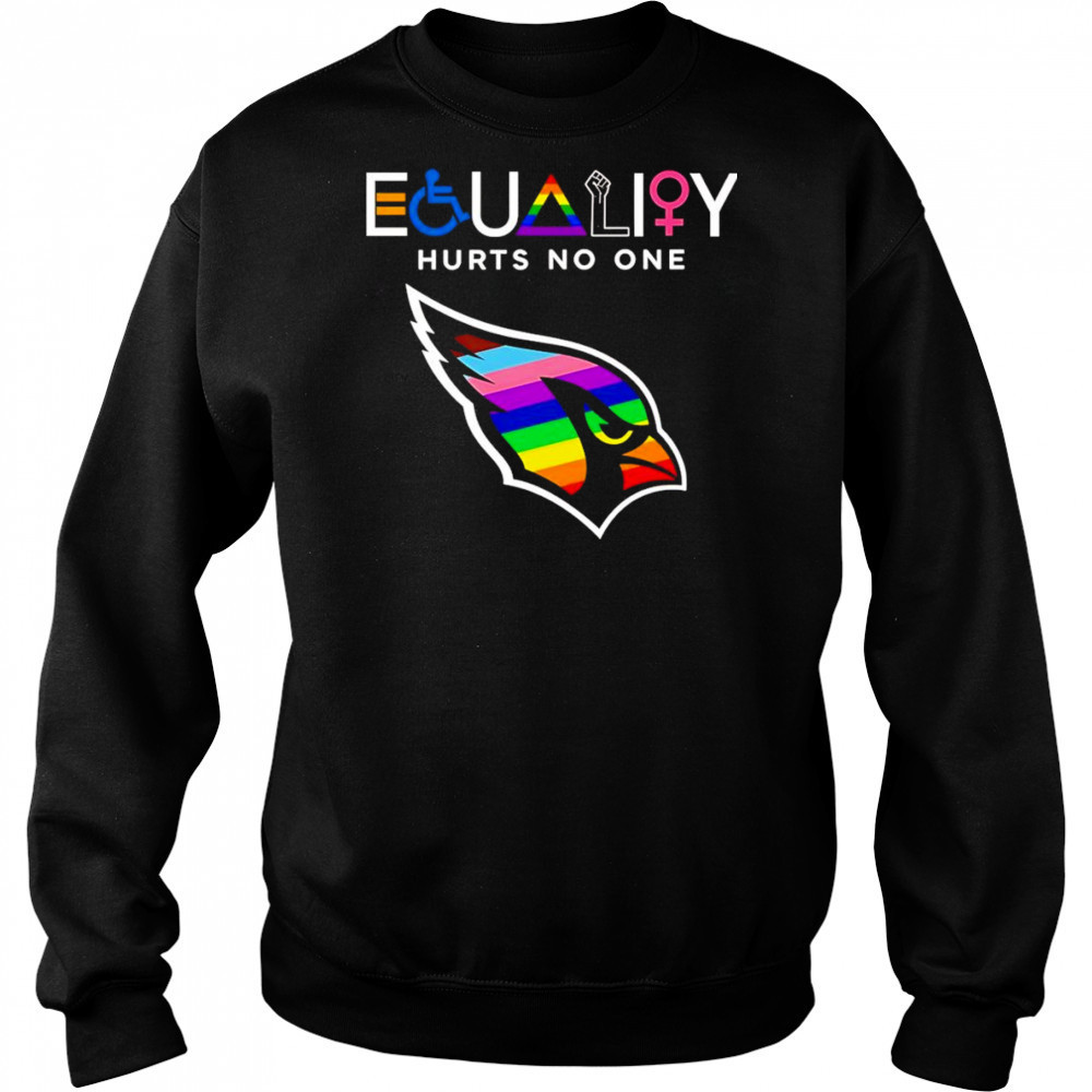 Equality hurts no one Arizona Cardinals shirt Hoodie