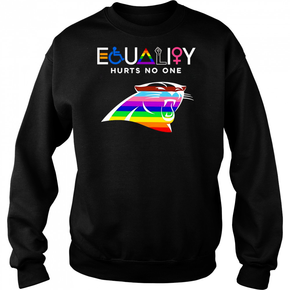 Equality hurts no one Carolina Panthers shirt Hoodie