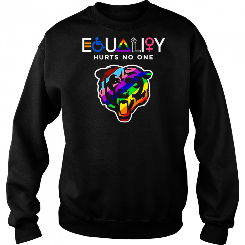 Equality hurts no one Chicago Bears shirt Hoodie