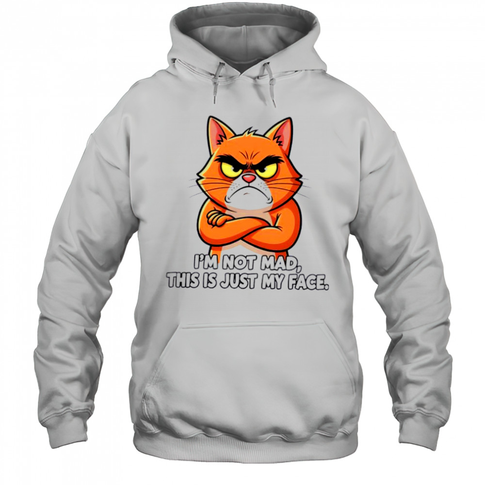 Cat I_m not mad this is just my face shirt Hoodie