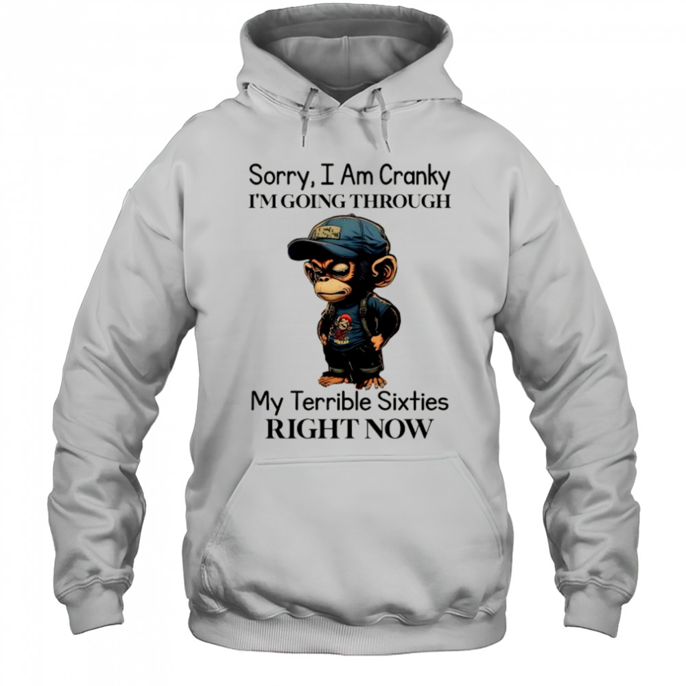 Baby Monkey sorry I am cranky I’m going through my terrible sixties right now shirt Hoodie