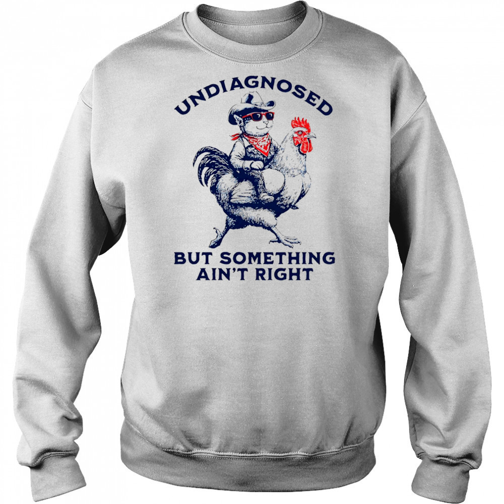 Cat riding chicken undiagnosed but something ain’t right shirt Hoodie