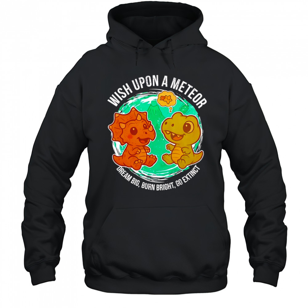 Dragon and dinosaur wish upon a meteor dream big burn bright go extinct shirt Hoodie
