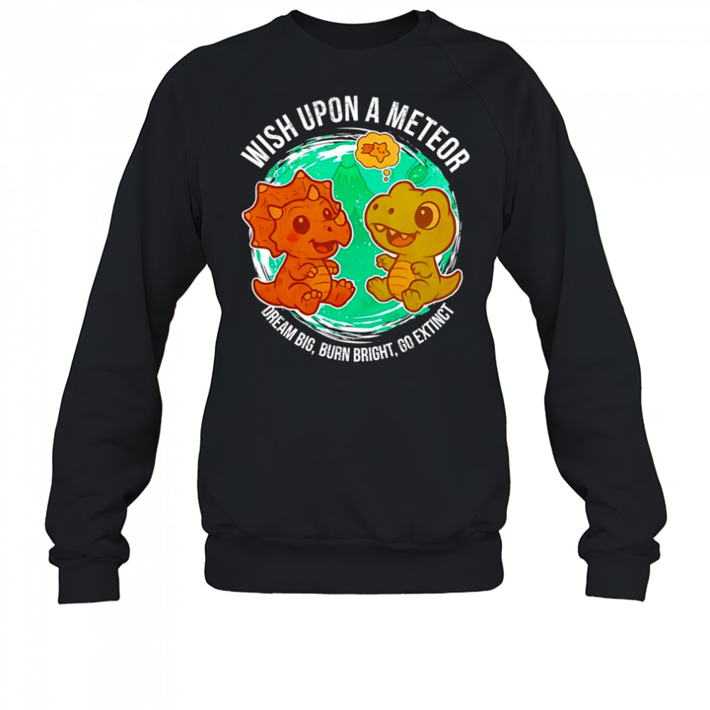 Dragon and dinosaur wish upon a meteor dream big burn bright go extinct shirt Sweatshirt