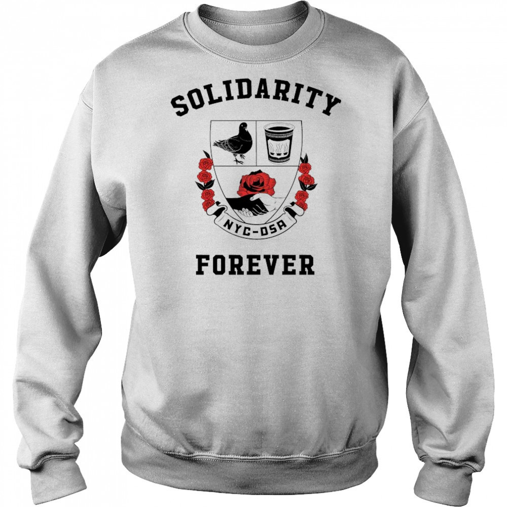 Solidarity Forever NYC DSA T-shirt Hoodie