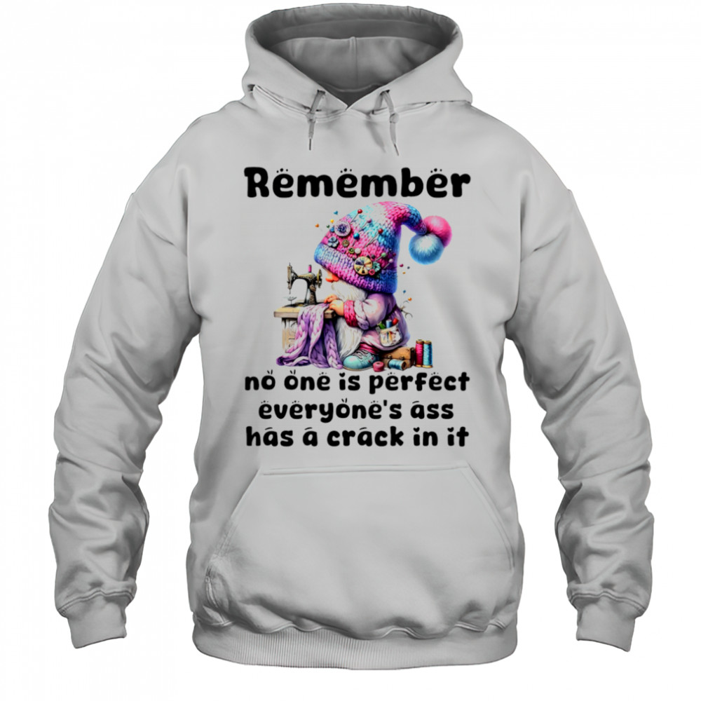Gnome remember no one is perfect everyone’s ass has a crack in it shirt Hoodie