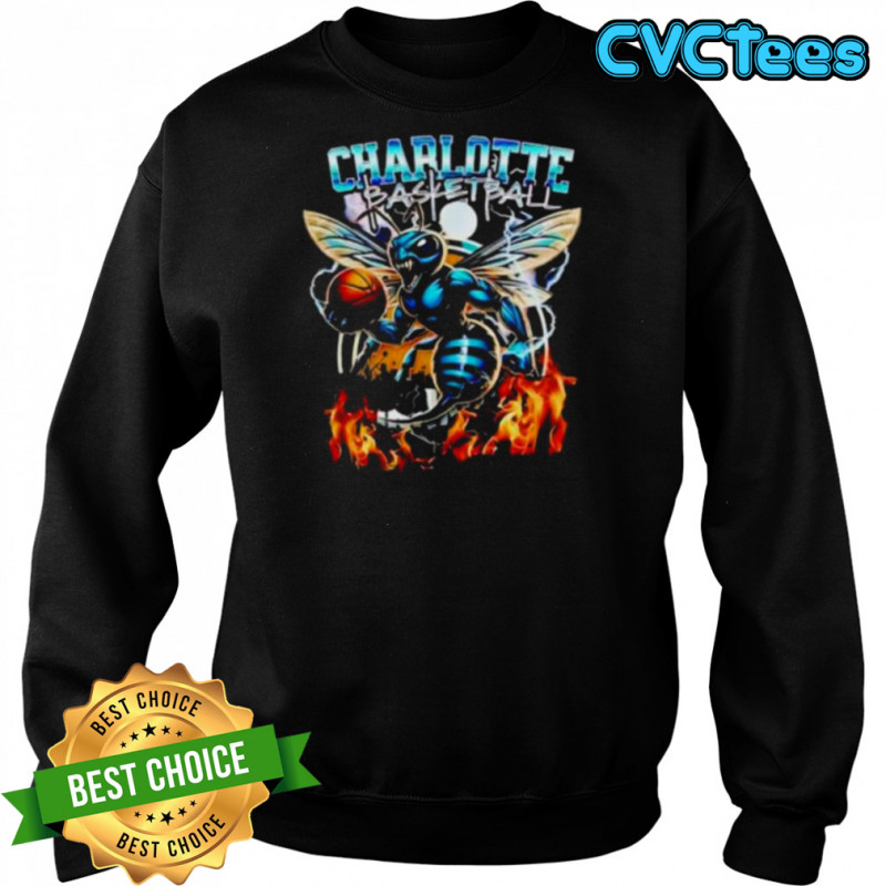 Charlotte Hornets 2025 NBA Summer League Champions vintage shirt Sweatshirt