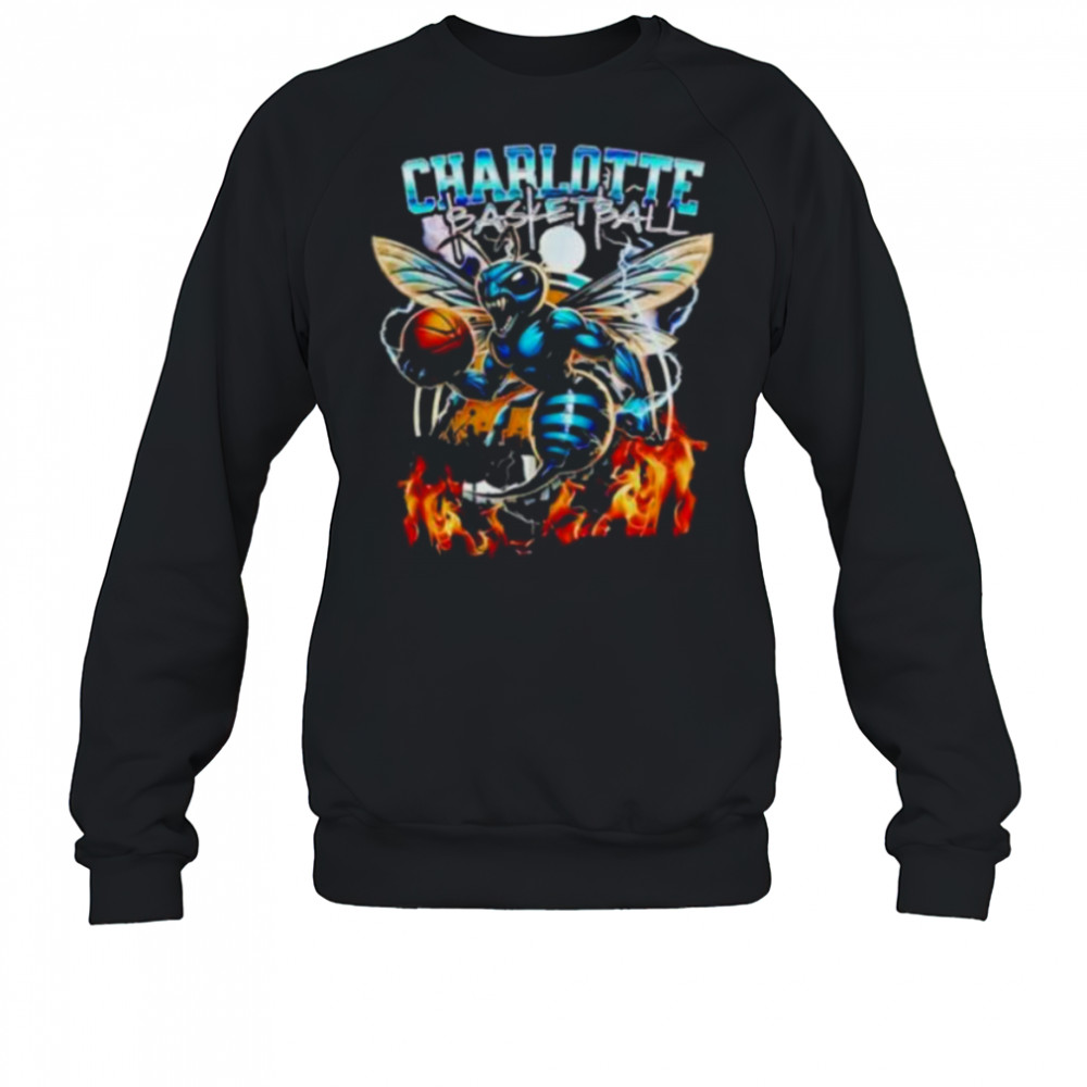 Charlotte Hornets 2025 NBA Summer League Champions vintage shirt Sweatshirt