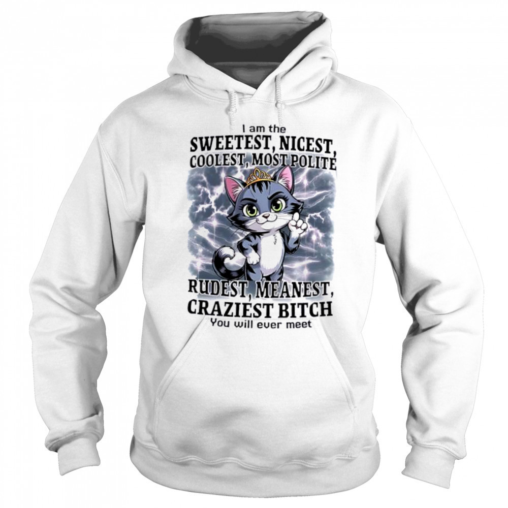 Cat I am the sweetest nicest coolest most polite rudest meanest craziest bitch you will ever meet shirt Sweatshirt
