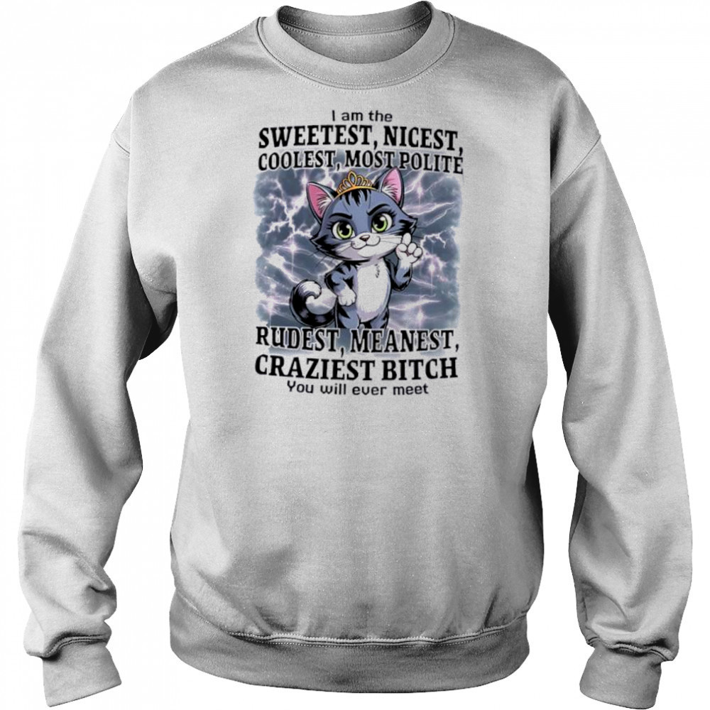 Cat I am the sweetest nicest coolest most polite rudest meanest craziest bitch you will ever meet shirt Hoodie
