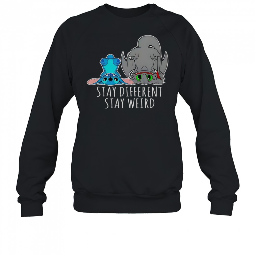 Toothless And Stitch Stay Different Funny Cartoon T-Shirt Sweatshirt