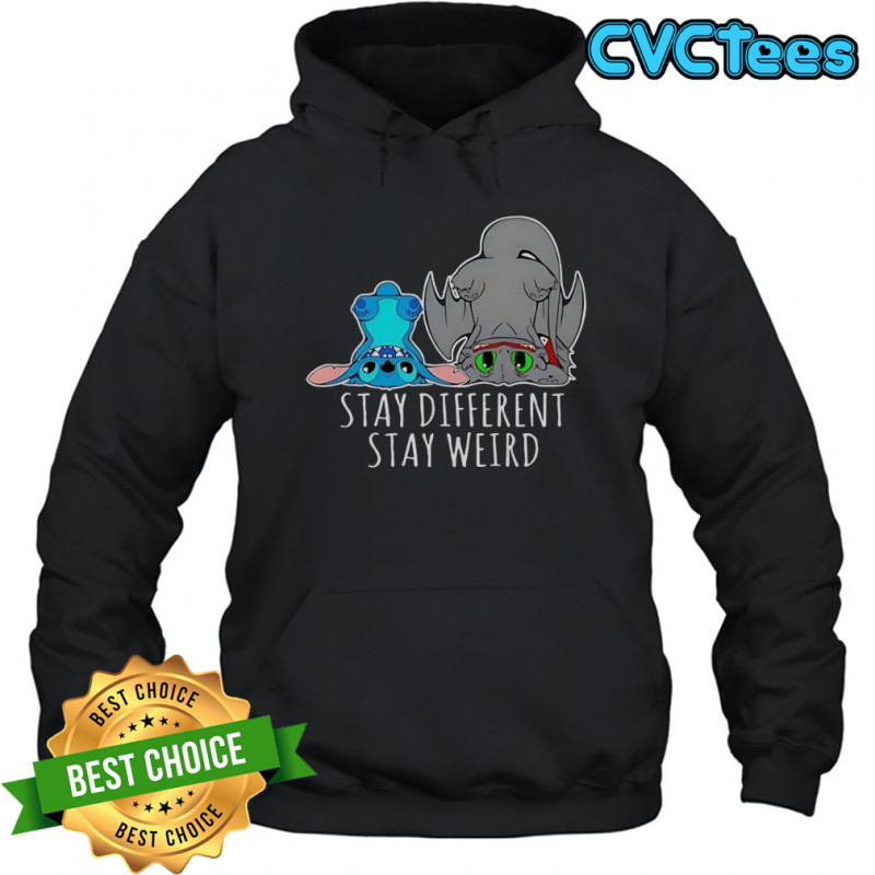 Toothless And Stitch Stay Different Funny Cartoon T-Shirt Hoodie