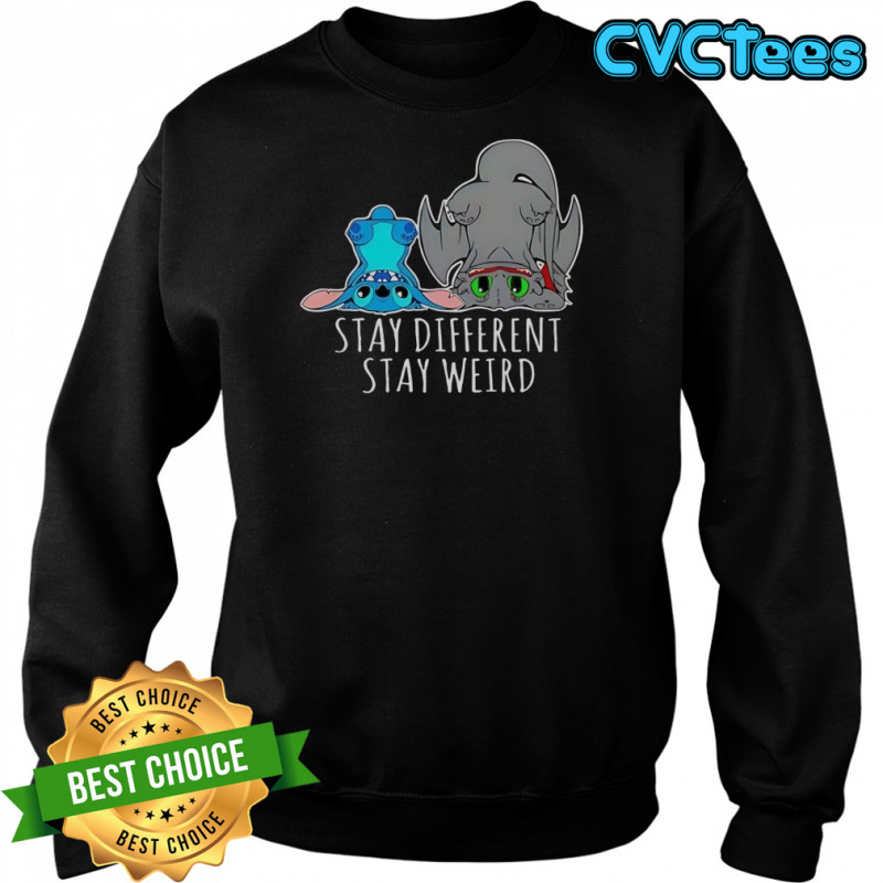 Toothless And Stitch Stay Different Funny Cartoon T-Shirt Sweatshirt
