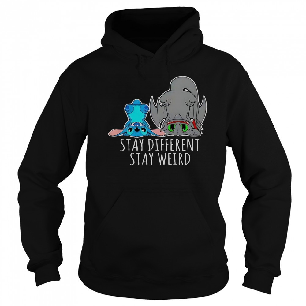 Toothless And Stitch Stay Different Funny Cartoon T-Shirt Sweatshirt