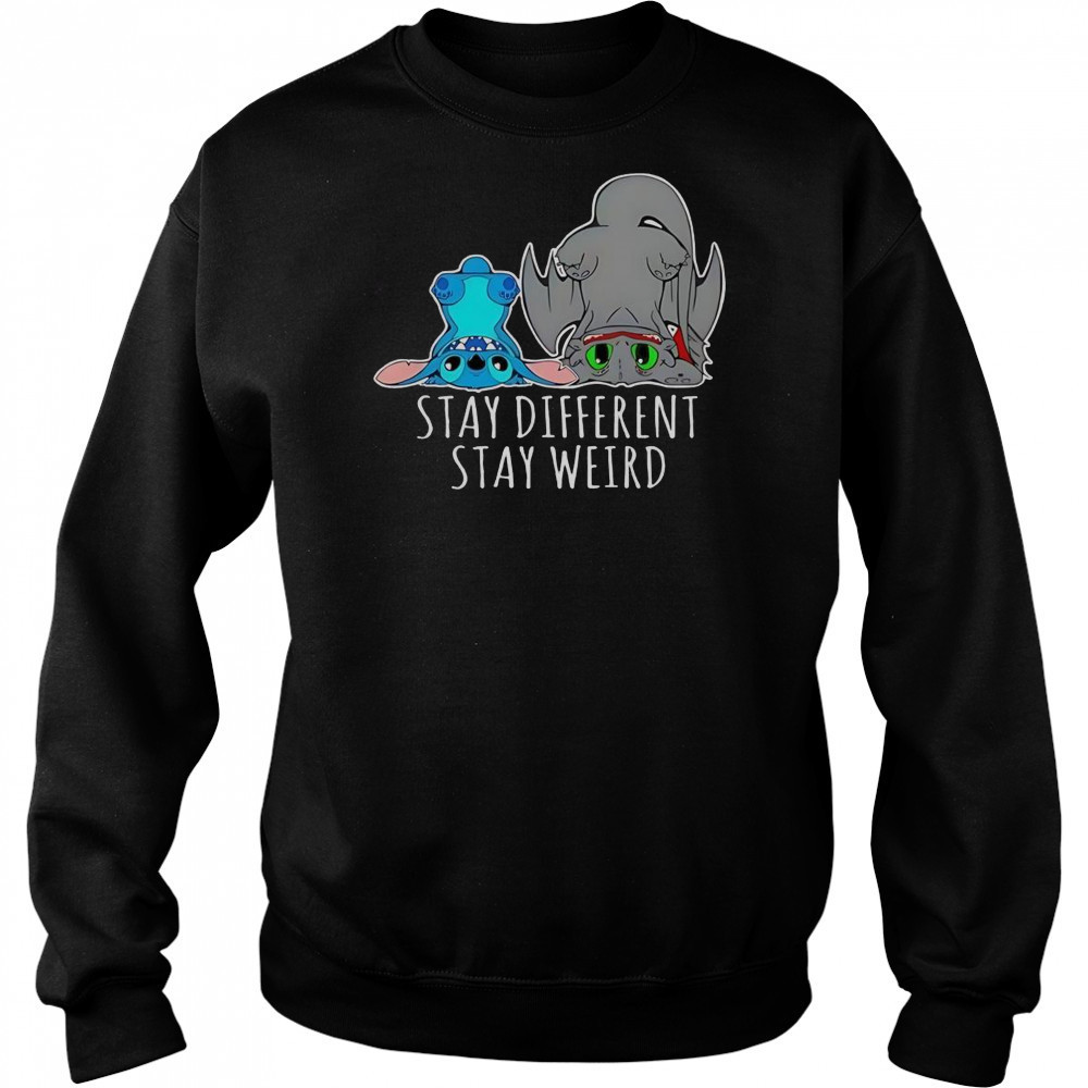Toothless And Stitch Stay Different Funny Cartoon T-Shirt Hoodie