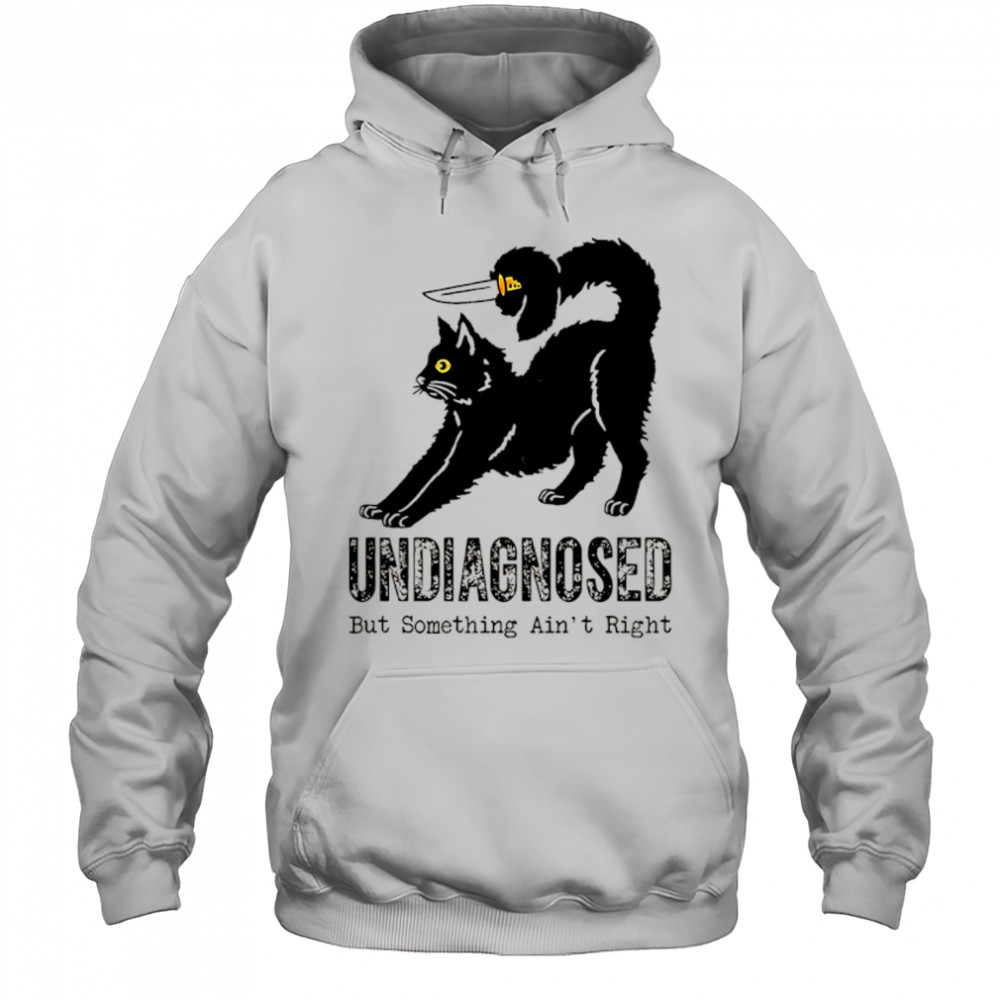Cat with knife undiagnosed but something ain’t right shirt Hoodie