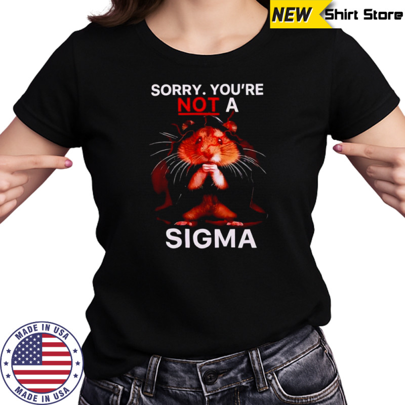 Hamster Sorry Youre Not A Sigma T-Shirt Women's T-shirt