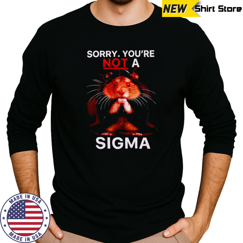 Hamster Sorry Youre Not A Sigma T-Shirt Long Sleeved