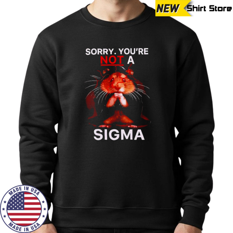 Hamster Sorry Youre Not A Sigma T-Shirt Hoodie