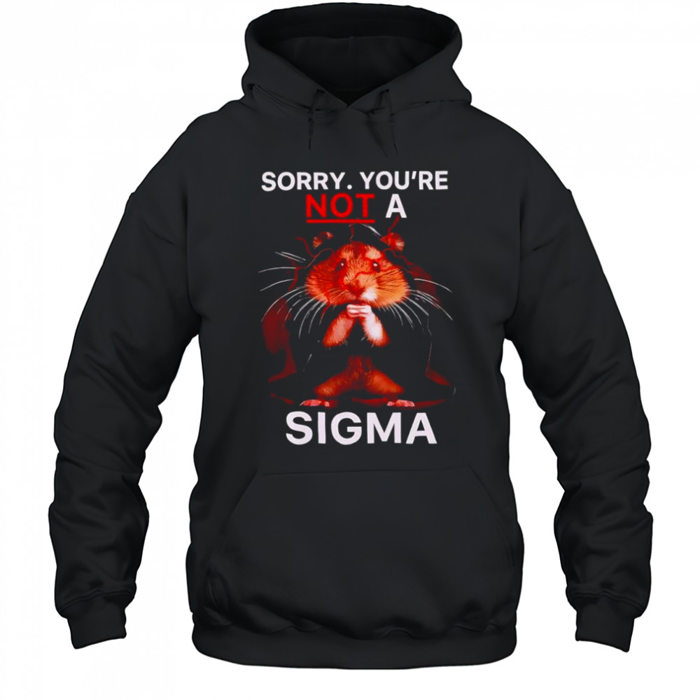 Hamster Sorry Youre Not A Sigma T-Shirt Hoodie