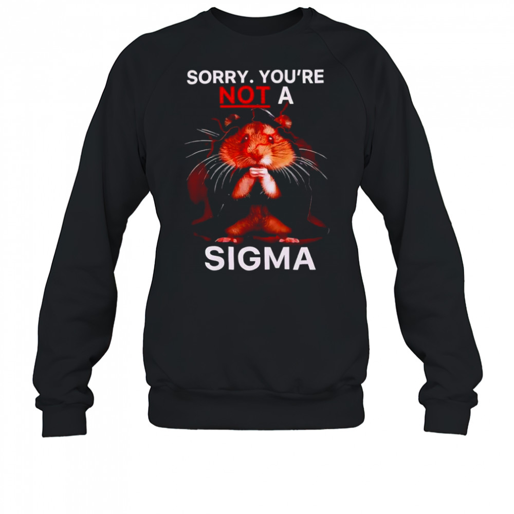 Hamster Sorry Youre Not A Sigma T-Shirt Sweatshirt
