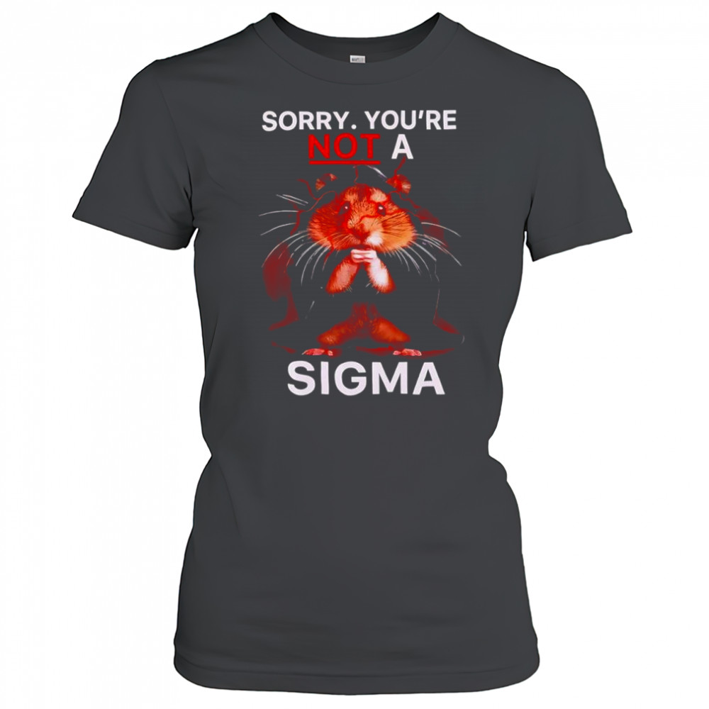 Hamster Sorry Youre Not A Sigma T-Shirt Women's T-shirt