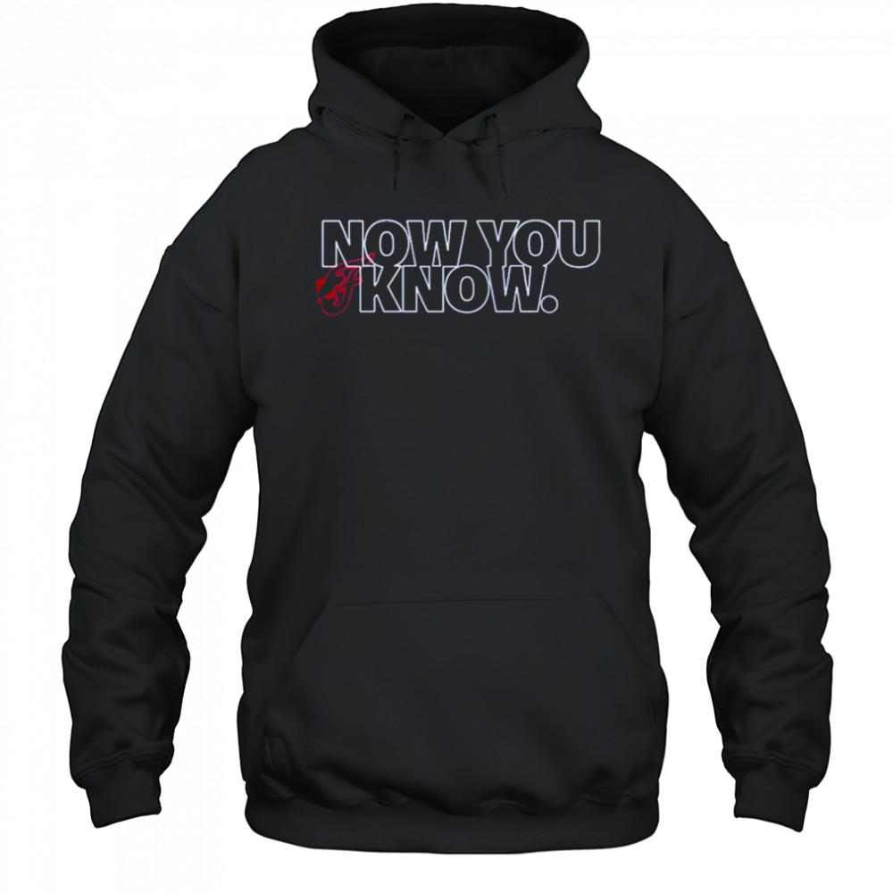 Indiana Fever Now You Know T-shirt Hoodie