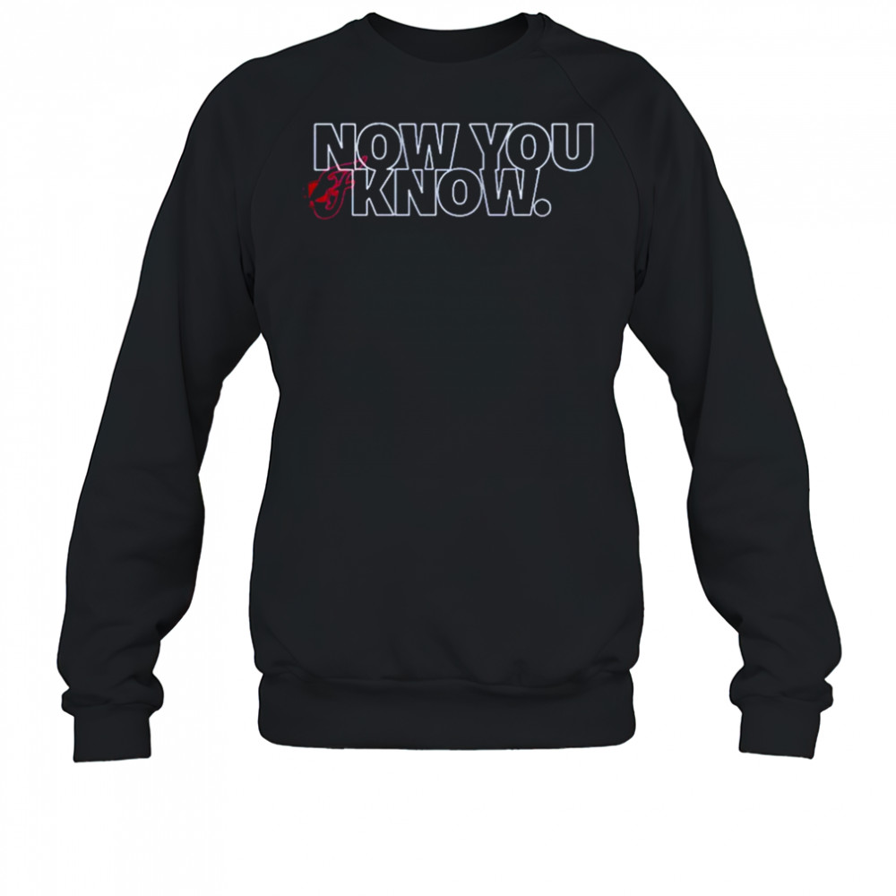 Indiana Fever Now You Know T-shirt Sweatshirt