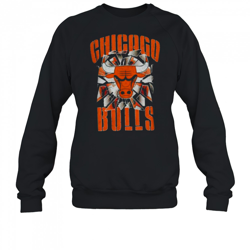 Pro Standard Bulls Shattered Backboard T Shirt Sweatshirt