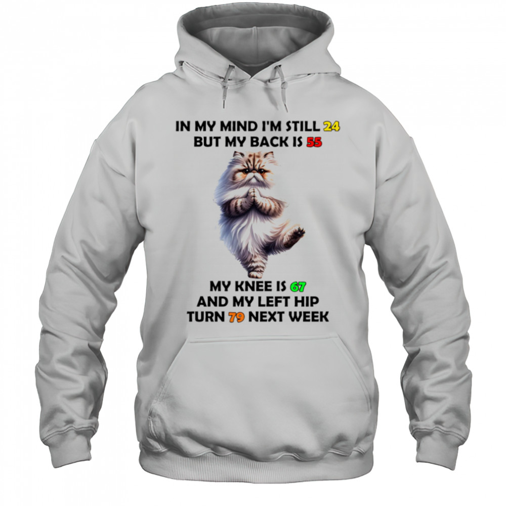 Cat in my mind I’m still 24 but my back is 55 my knee is 67 shirt Hoodie
